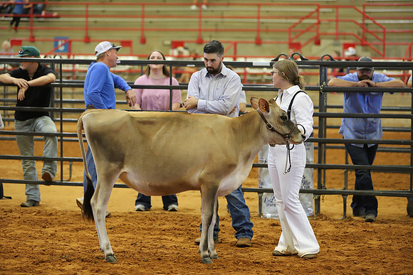 East Texas State Fair - Dairy Show-037
