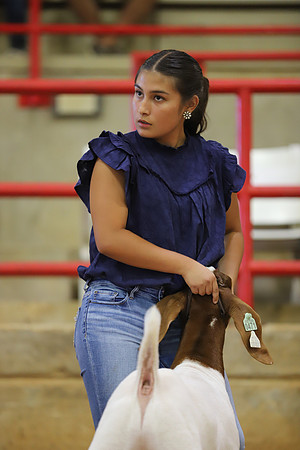 East Texas State Fair - Goat Show-032