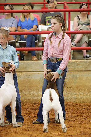 East Texas State Fair - Goat Showmanship-105