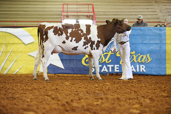 East Texas State Fair - Dairy Show-392
