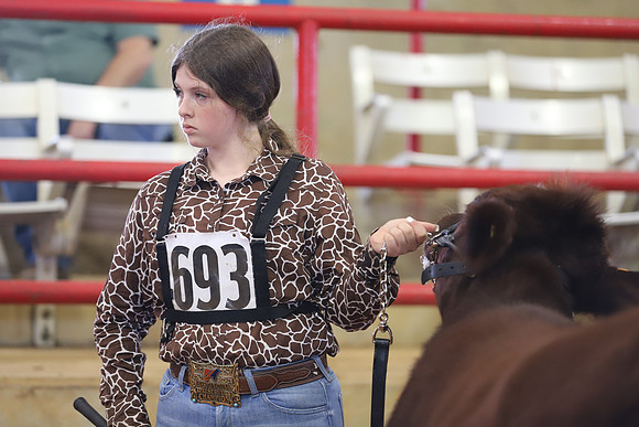 EastTexasStateFair-BritishHeiferShowmanship-32