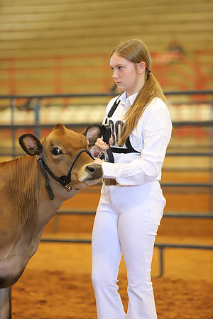 East Texas State Fair - Dairy Show-098
