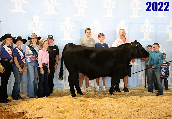 Lot 11 other