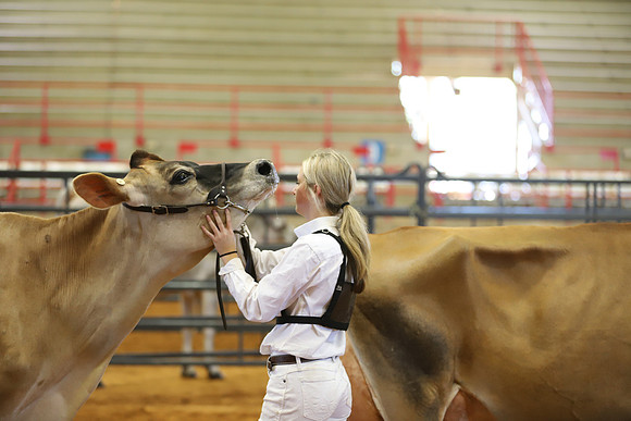 East Texas State Fair - Dairy Show-073