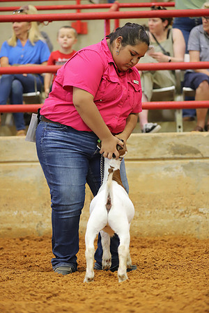 East Texas State Fair - Goat Showmanship-154
