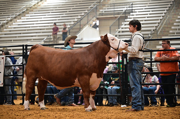 RCM_0258