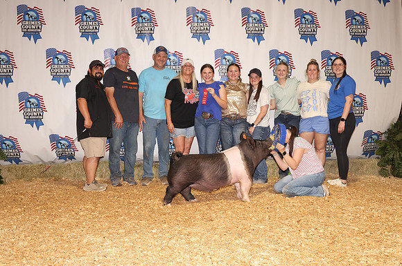 Pig Backdrop 10