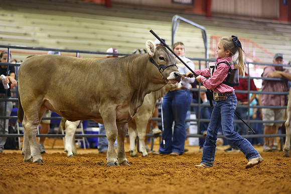 0C4A1690