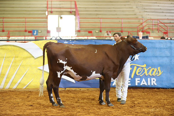 East Texas State Fair - Dairy Show-193