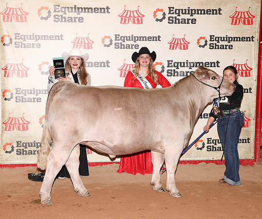 SteerShowmanshipJr-1