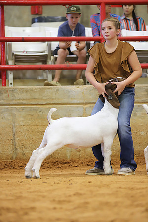East Texas State Fair - Goat Show-039