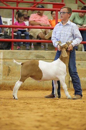 East Texas State Fair - Goat Show-026