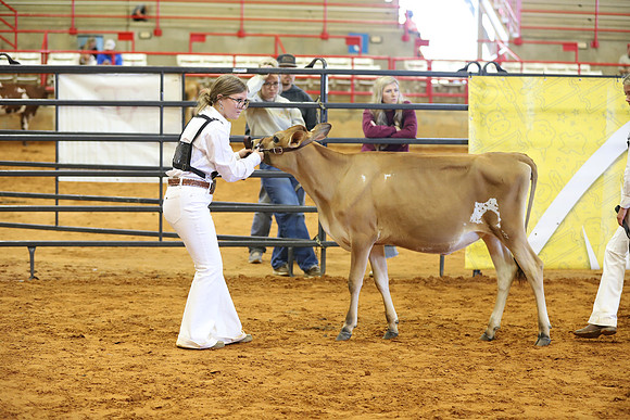 East Texas State Fair - Dairy Show-175