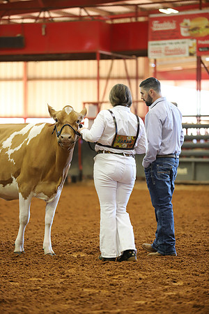 East Texas State Fair - Dairy Show-410