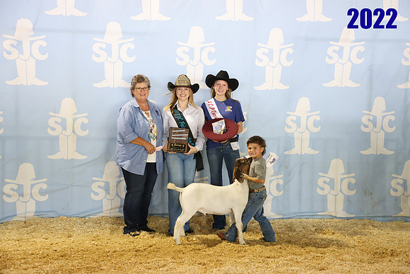lot 71