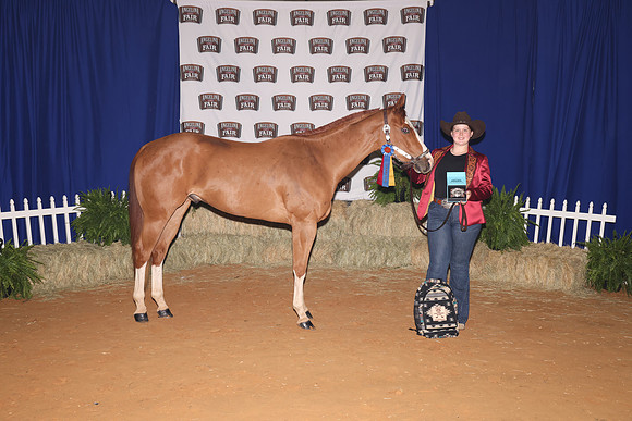 BaylieButler_GrandChampionGelding