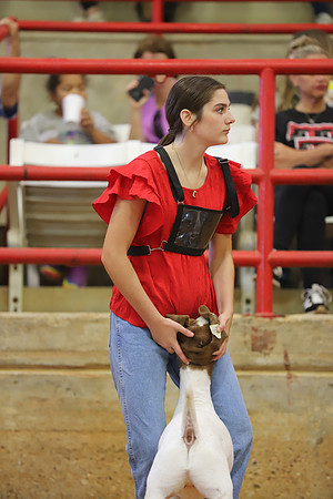 East Texas State Fair - Goat Show-148