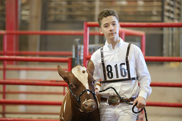 East Texas State Fair - Dairy Show-055