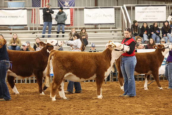 2L6A1049