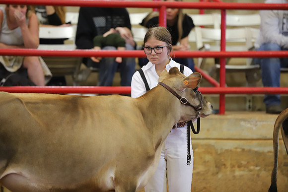 East Texas State Fair - Dairy Show-082