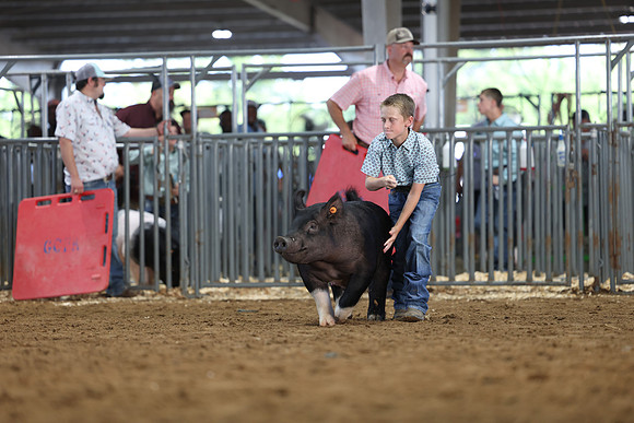 2L6A0299