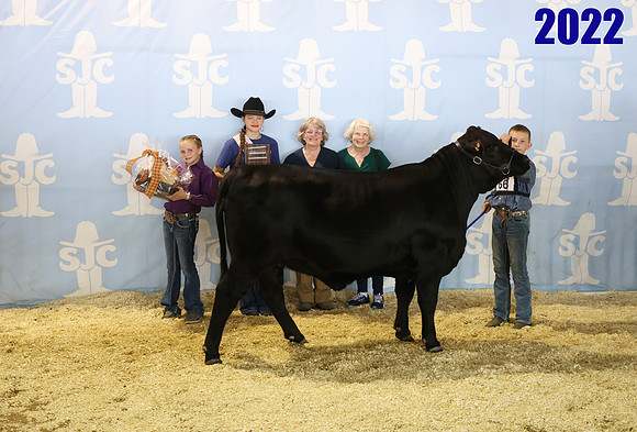 lot 66