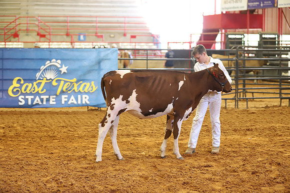 East Texas State Fair - Dairy Show-187