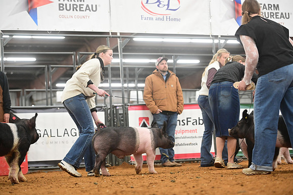 AMC_5560