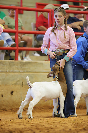 East Texas State Fair - Goat Show-136