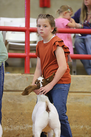 East Texas State Fair - Goat Show-104