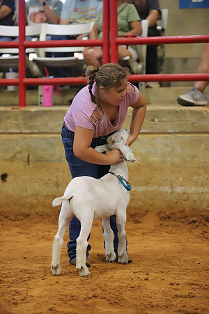 East Texas State Fair - Goat Showmanship-033