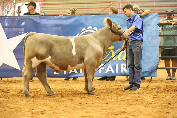 East Texas State Fair - Steer Show-084