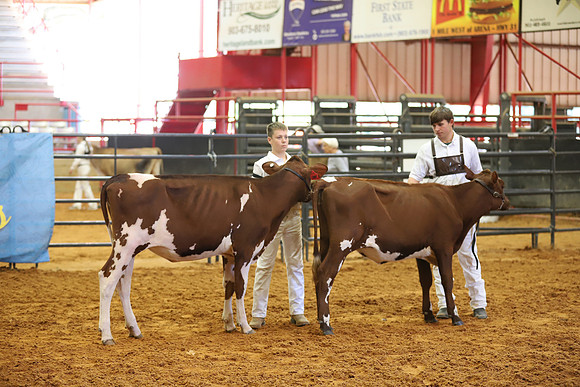 East Texas State Fair - Dairy Show-197