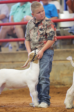 East Texas State Fair - Goat Showmanship-011