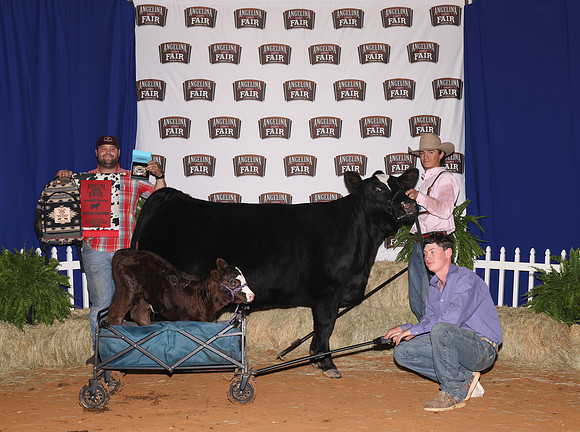 MasonStafford_ChampionHeifer