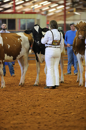 East Texas State Fair - Dairy Show-314