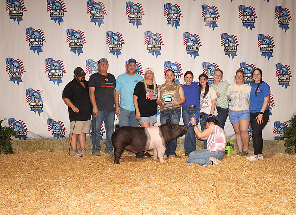 Pig Backdrop 8