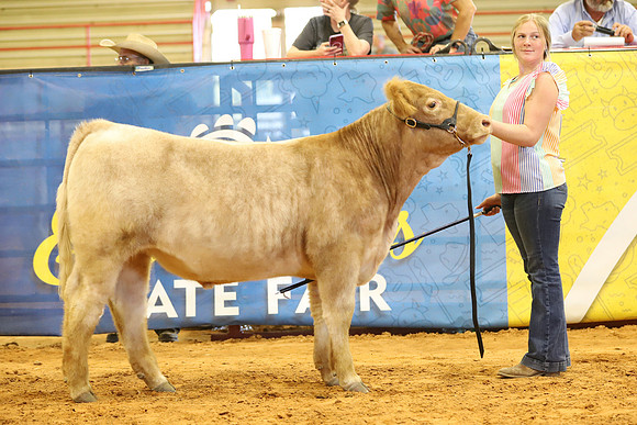 East Texas State Fair - Steer Show-083