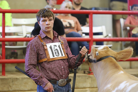 East Texas State Fair - Steer Show-076