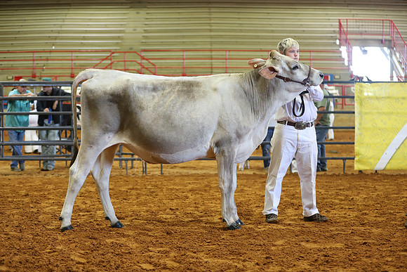 East Texas State Fair - Dairy Show-356