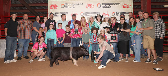 ReserveChampionPig