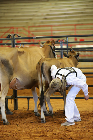 East Texas State Fair - Dairy Show-066