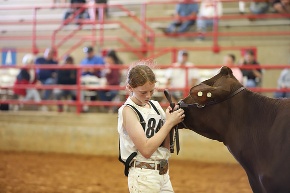 East Texas State Fair - Dairy Show-205