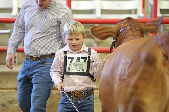 EastTexasStateFair-JBBAHeiferShowmanship-46