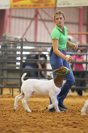 East Texas State Fair - Goat Show-152