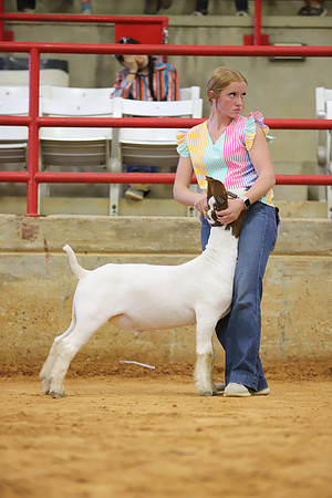 East Texas State Fair - Goat Show-014