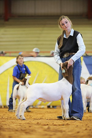 East Texas State Fair - Goat Show-042