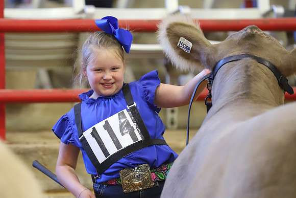 East Texas State Fair - Steer Show-063