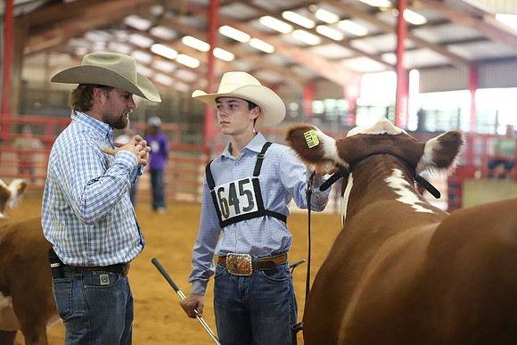 EastTexasStateFair-BritishHeiferShowmanship-42