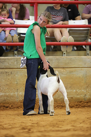 East Texas State Fair - Goat Show-146